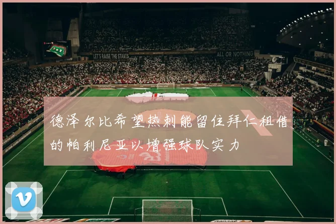德泽尔比希望热刺能留住拜仁租借的帕利尼亚以增强球队实力