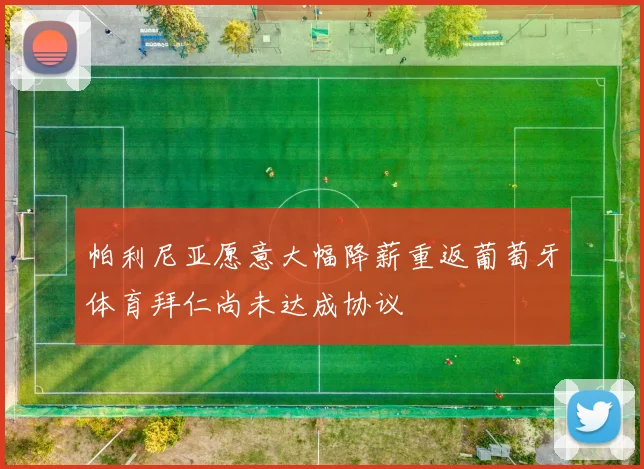 帕利尼亚愿意大幅降薪重返葡萄牙体育拜仁尚未达成协议